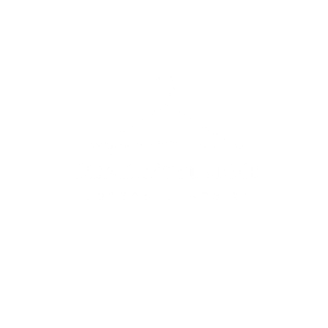 denise styled me trans logo